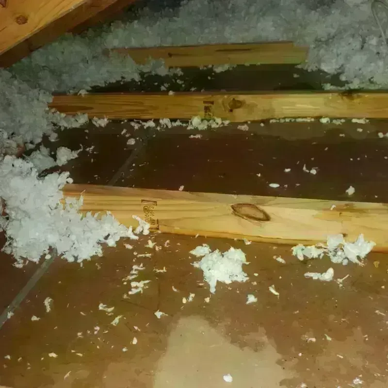 Attic Water Damage in Sparta, MI