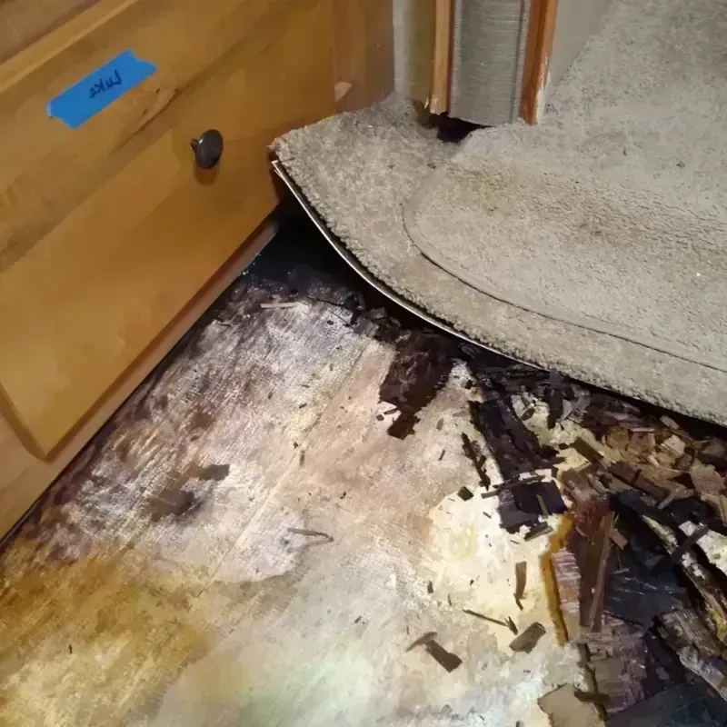 Wood Floor Water Damage in Sparta, MI